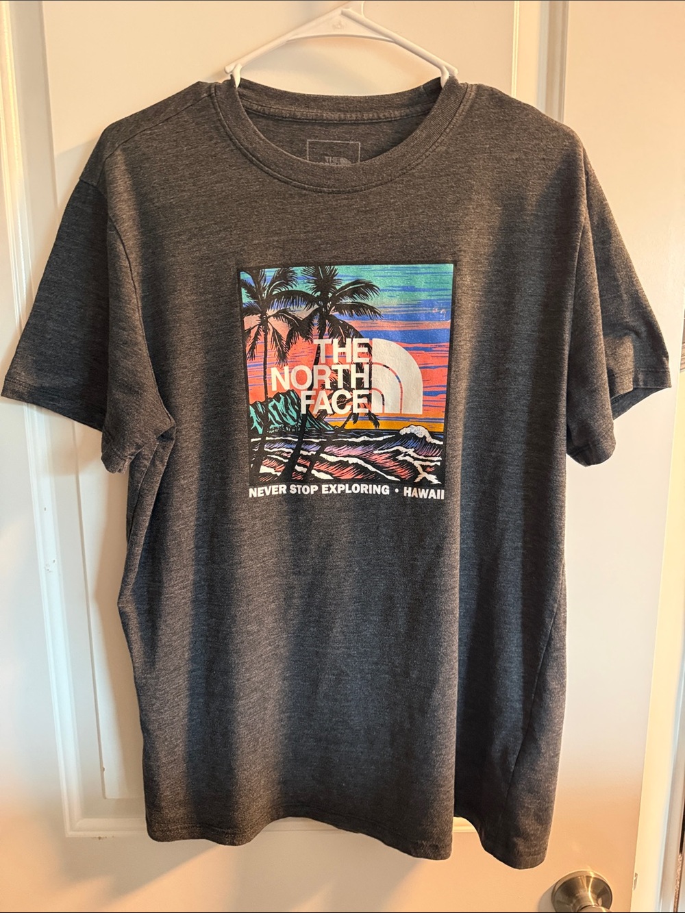 The North Face Charcoal Short-Sleeve Tee with Tropical Graphic